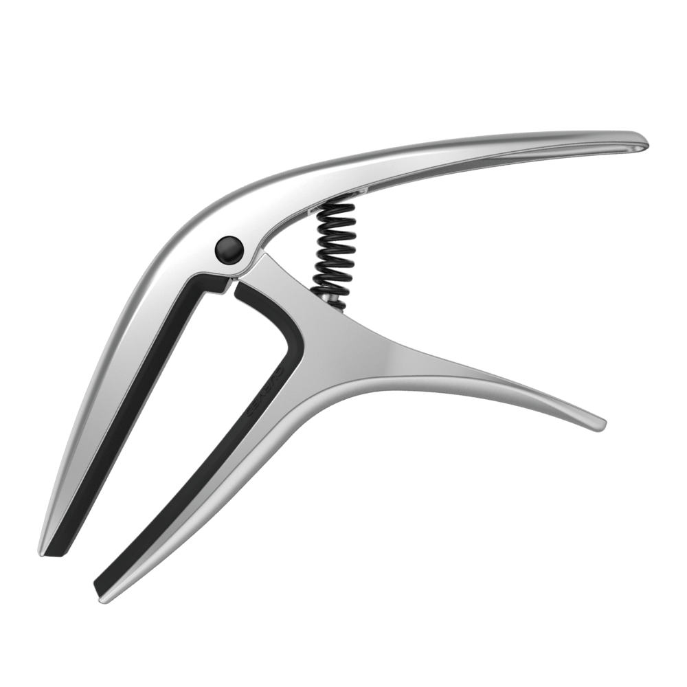 P09601 - AXIS CAPO - SILVER