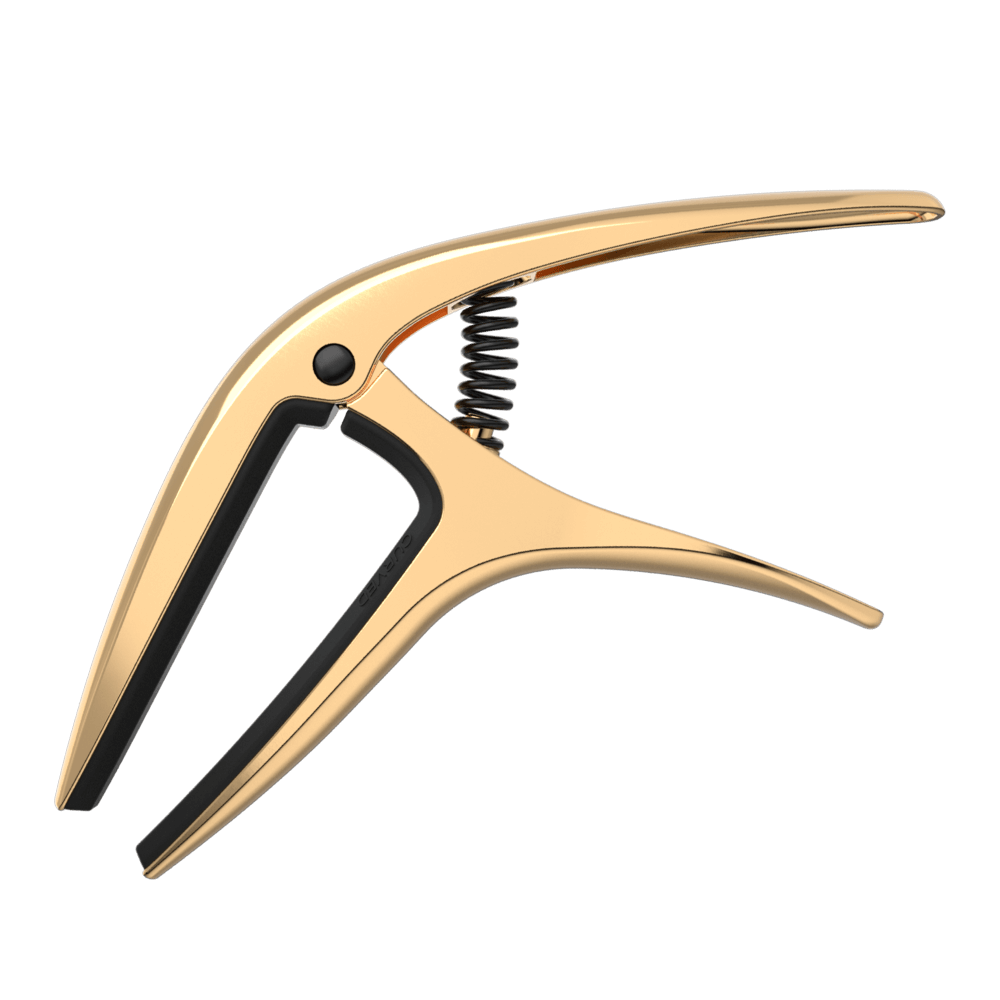 P09603 - AXIS CAPO - GOLD