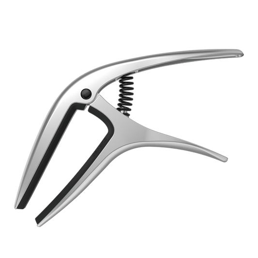 P09601 - AXIS CAPO - SILVER