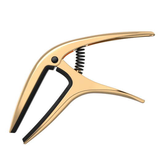 P09603 - AXIS CAPO - GOLD