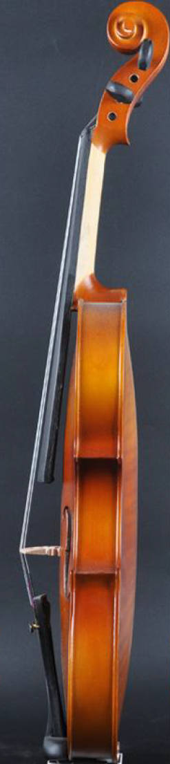 WA-V01B Violin 4/4 (Full Size)